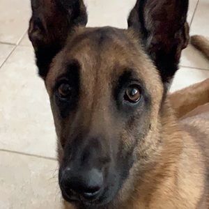 Meet your Posher, Kate